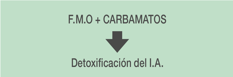 carbamatos