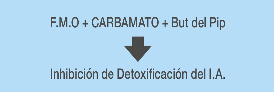 detoxificacion