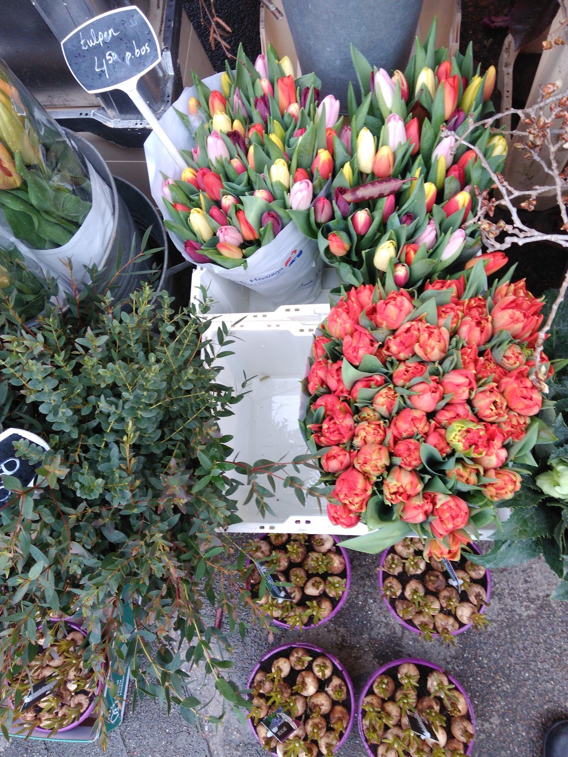 rsz_rsz_foto_11 Metroflor