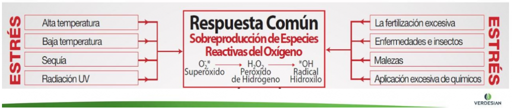Diagrama

Descripción generada automáticamente