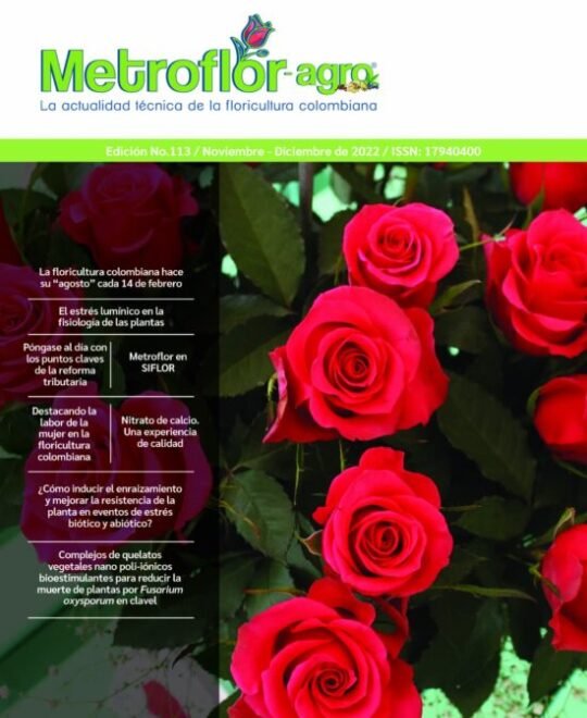 Portada de la revista metroflor n. 113