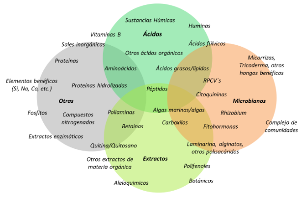 Panorama de bioestimulantes en cultivos; actuales y en revisión.