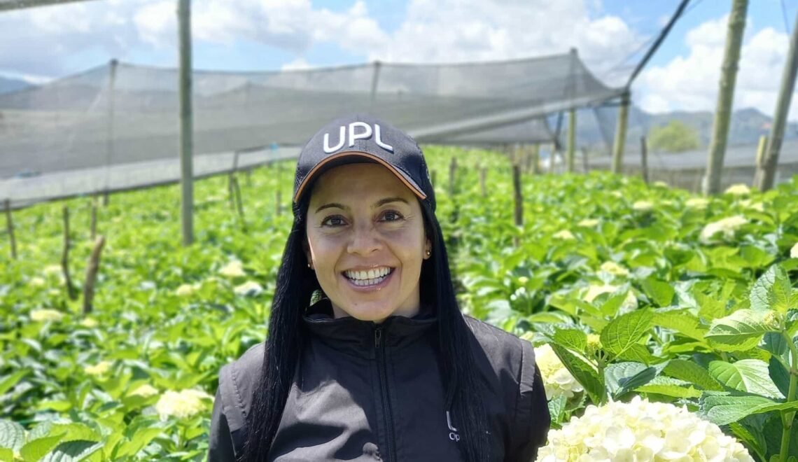 La ingeniera agrónoma Alexandra Castillo se encuentra de pie en medio de un cultivo de hortensias blancas ubicado en el Oriente Antioqueño