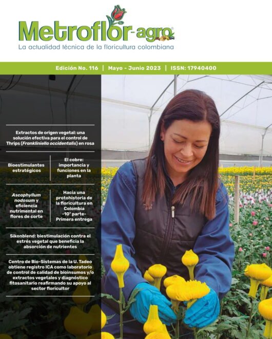 Portada de la nueva edición de la revista Metroflor en su N. 116