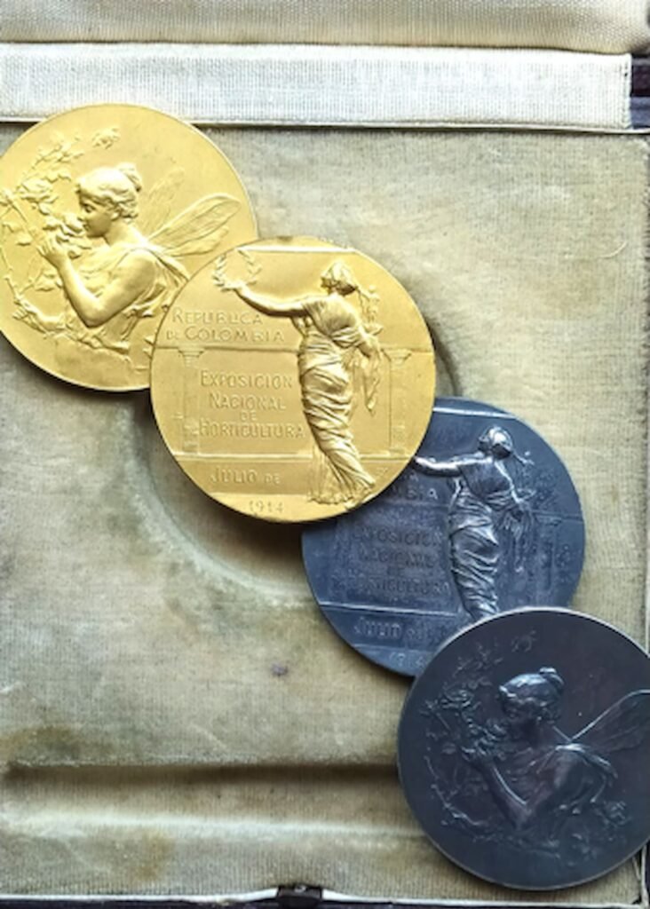 Medallas de premiación a la 2ª. Exposición Nacional de Horticultura 1914 Colección Gonzalo Ruíz