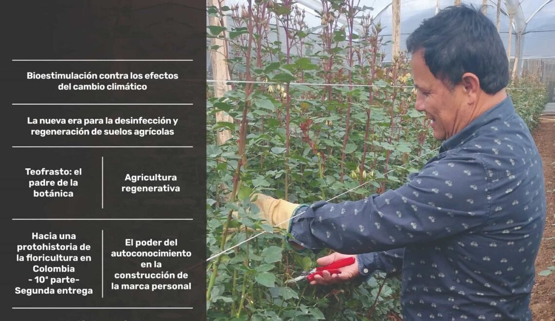 Portada de la revista Metroflor No. 117