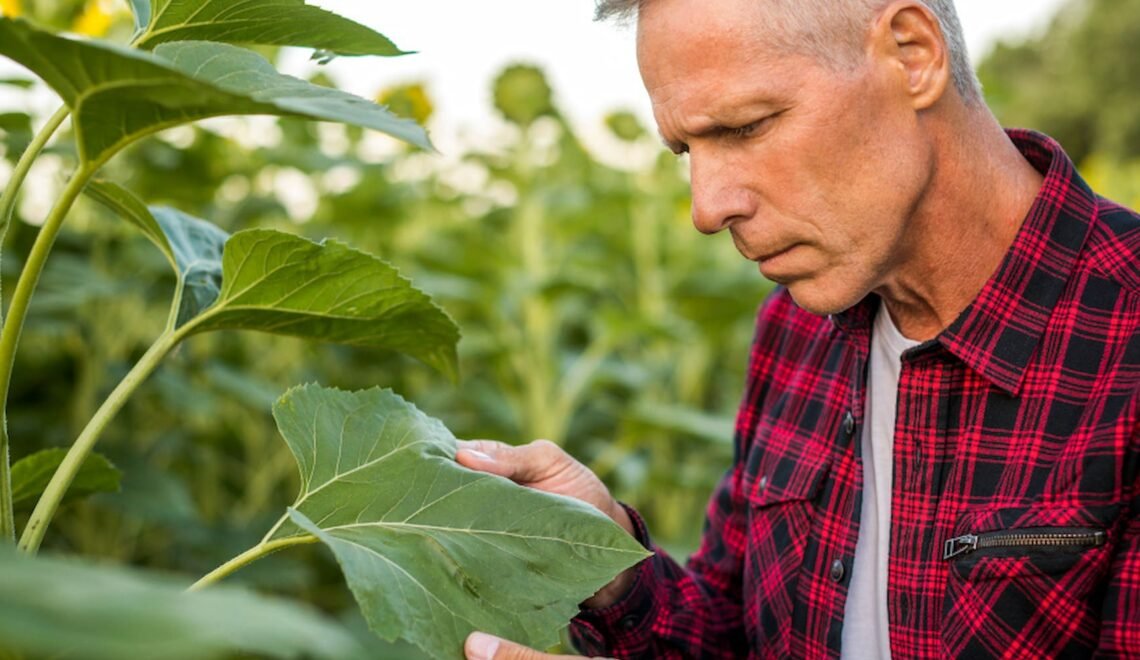 Ingeniero agrónomo en campo.