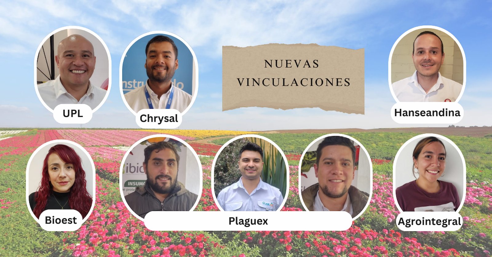 Nuevas vinculaciones de Ingenieros agrónomos al sector floricultor colombiano.